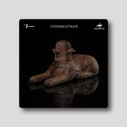 陶瓷杯墊 - Prodip Leung - 木製 Cydonia
