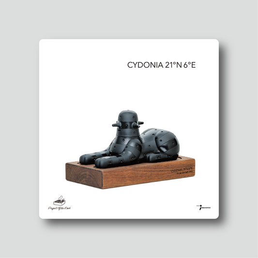 Ceramic Coaster - Prodip Leung - Cydonia