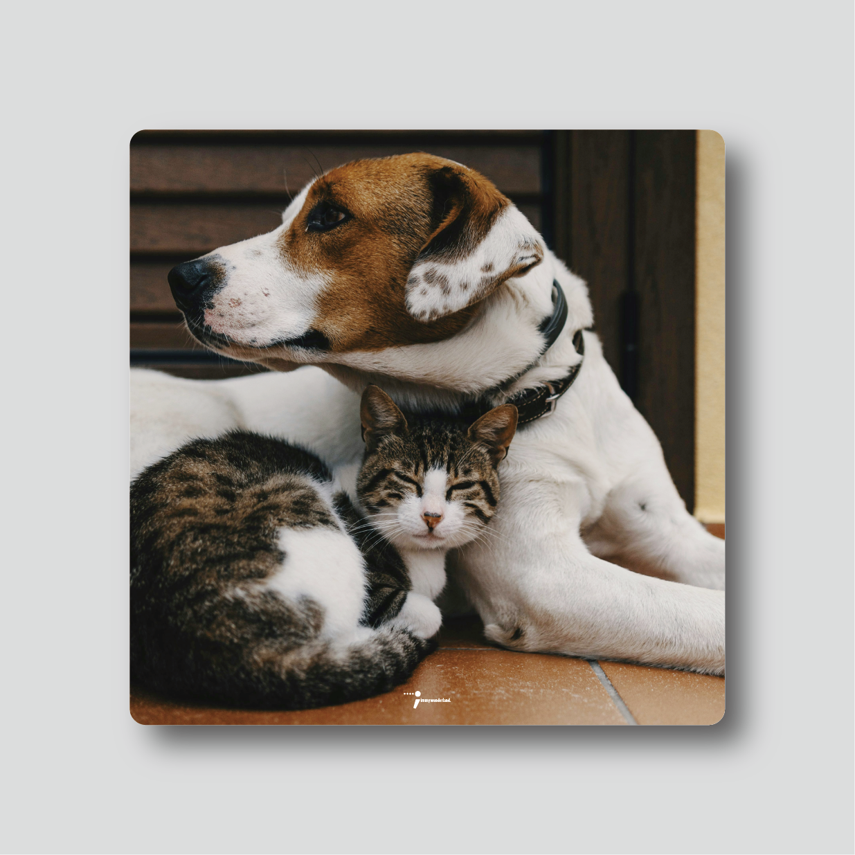 Ceramic Coaster - Animal - Cat and Dog 1